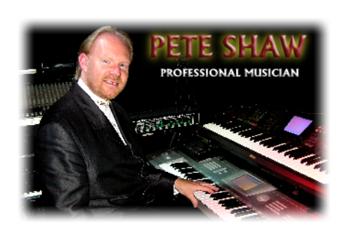 PROFESSIONAL MUSICIAN